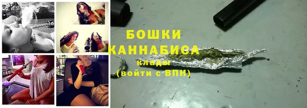 крисы Костерёво