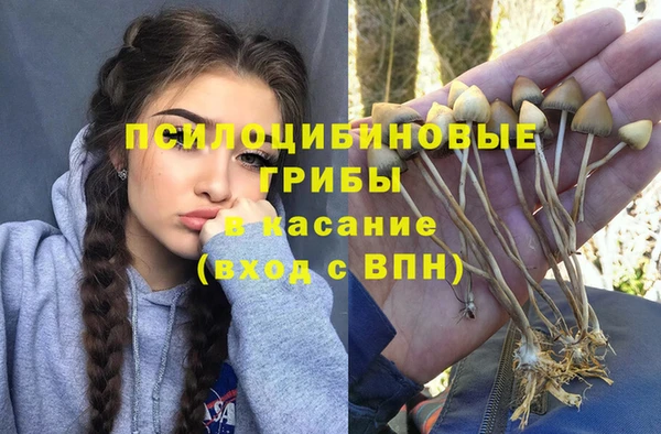 альфа пвп Коряжма