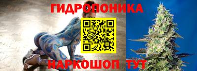 альфа пвп Аргун