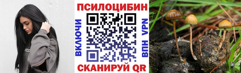 Псилоцибиновые грибы MAGIC MUSHROOMS Маркс